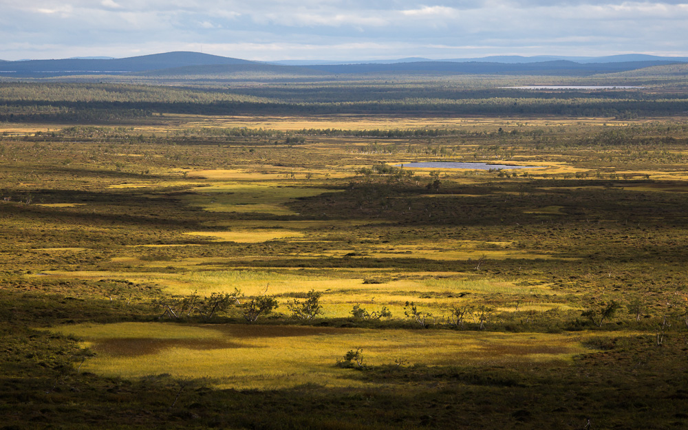 20130818_1818-19_173